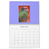 Prachtige "BIRDS of Brazilië" kalender 2021 (Jan 2026)