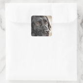 Prachtige Black Labrador Retriever hondenontwerp Vierkante Sticker (Tas)
