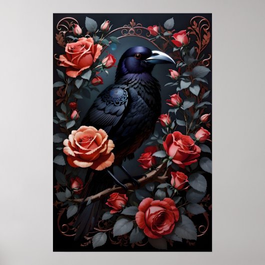 Prachtige Black Raven Roos tuin Poster (Voorkant)