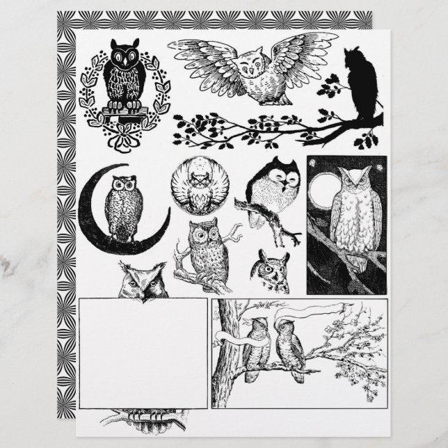 Prachtige Black & White Line Art Tekeningen van Ui (Voorkant / Achterkant)