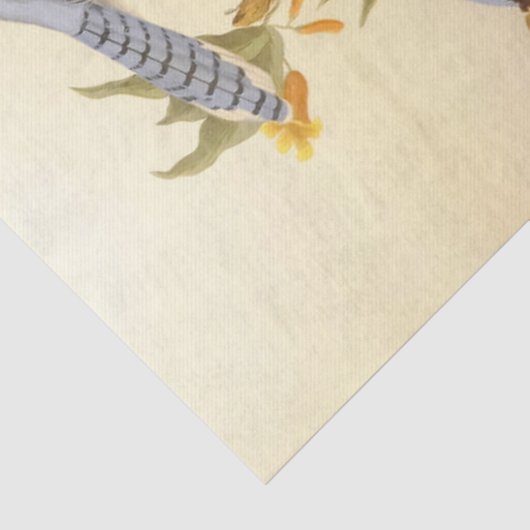 Prachtige blauw-Jays-ontkoppelingsmeubelen Tissuepapier (Detail)