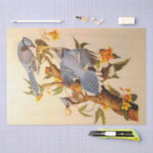 Prachtige blauw-Jays-ontkoppelingsmeubelen Tissuepapier (Craft)