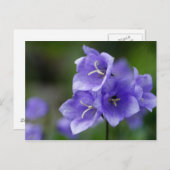 Prachtige blauwe bloem briefkaart (Voorkant / Achterkant)