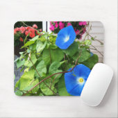 Prachtige Blauwe Dagwinden Close-up Muismat (Met muis)