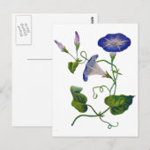 Prachtige blauwe geborduurde ochtendglorie briefkaart (Voorkant / Achterkant)