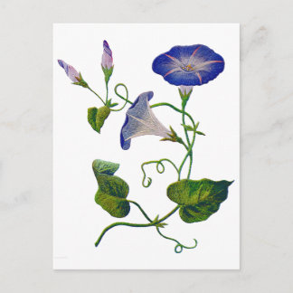 Prachtige blauwe geborduurde ochtendglorie briefkaart
