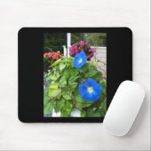 Prachtige Blauwe Morgenwinde Muismat (Met muis)