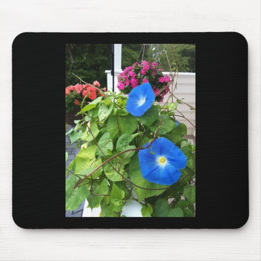Prachtige Blauwe Morgenwinde Muismat (Voorkant)