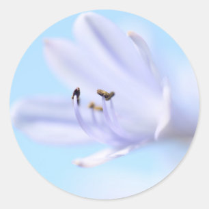 Prachtige Blauwe Paarse Bloem Trouw Favor Sticker