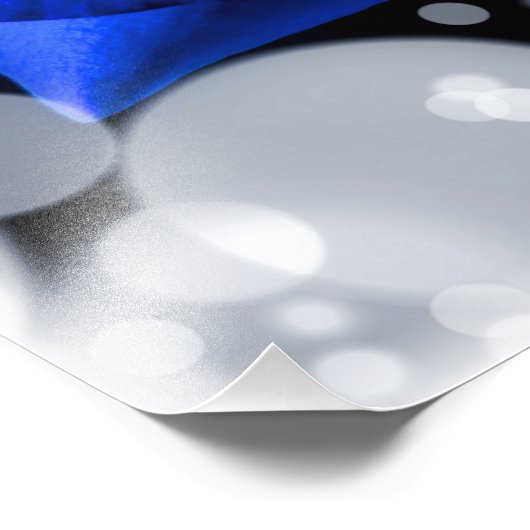 Prachtige blauwe roos foto afdruk (Hoek)