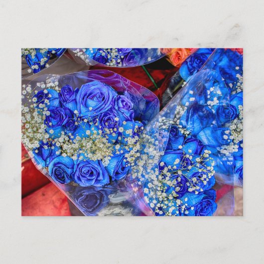 Prachtige blauwe Rozen Foto Briefkaart (Voorkant)