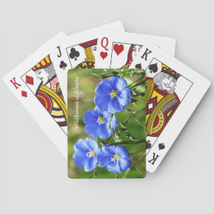 Prachtige blauwe wilde Pop tegen groene gras Pokerkaarten