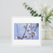 Prachtige Bleke Cherry Blossom Jouw tekst Flat Kaa (Staand voorkant)