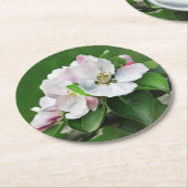 Prachtige bloeiende appelboomlente Onderzetters (Gebogen)