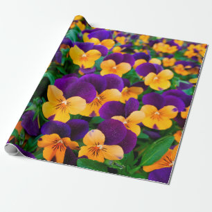 Prachtige bloeiende pansies in de tuin cadeaupapier