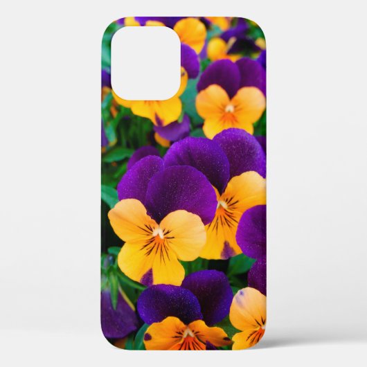 Prachtige bloeiende pansies in de tuin Case-Mate iPhone case (Achterkant)
