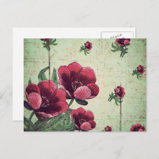 Prachtige bloem briefkaart (Voorkant / Achterkant)