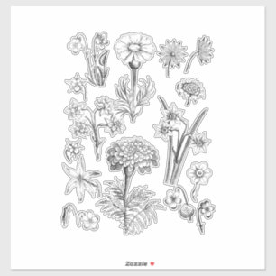 Prachtige bloemensets - Wild Tattoo Style Flower Sticker