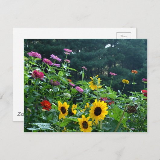 Prachtige bloementuin briefkaart (Voorkant / Achterkant)