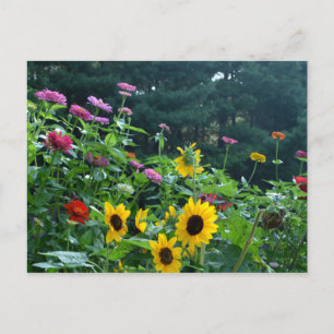 Prachtige bloementuin briefkaart