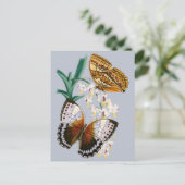 Prachtige bloemige vlinder illustratie briefkaart (Staand voorkant)