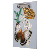Prachtige  bloemige vlinder illustratie klembord (Links)