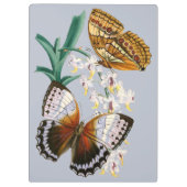Prachtige  bloemige vlinder illustratie klembord (Achterkant)