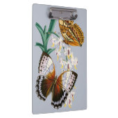 Prachtige  bloemige vlinder illustratie klembord (Rechts)