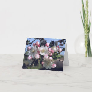 Prachtige Bloesem Bloem Fotografie  Notitiekaartje