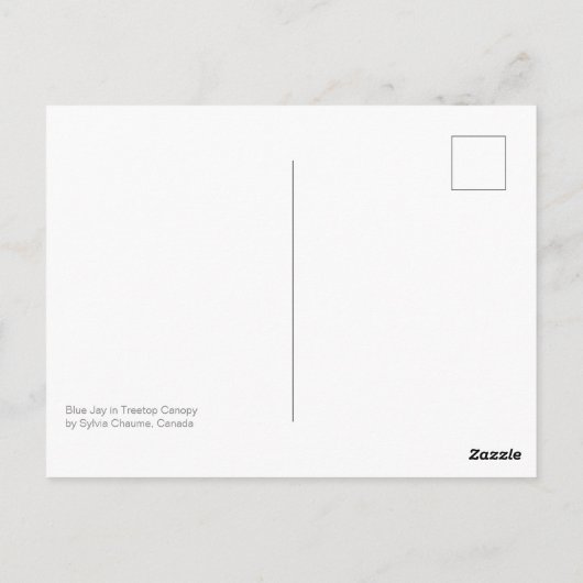 Prachtige Blue Jay in Maple Quebec Canada Briefkaart (Achterkant)
