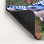 Prachtige Blue Jay Muismat (Hoek)