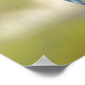 Prachtige Blue Jay Poster of Print (Hoek)