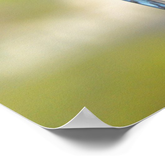 Prachtige Blue Jay Poster of Print (Hoek)