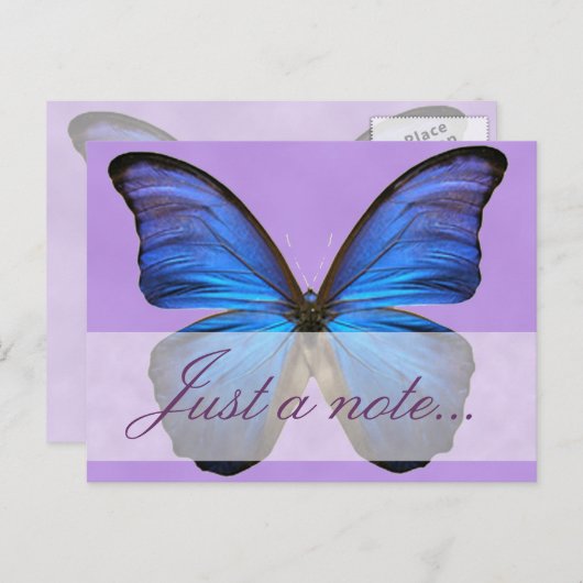 Prachtige Blue Morpho Butterfly Briefkaart (Voorkant / Achterkant)