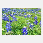 Prachtige Bluebonnets Texas Fotografie Inpakpapier Vel (Voorkant)