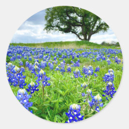 Prachtige Bluebonnets Texas Fotografie Ronde Sticker