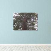 Prachtige boom canvas afdruk (Insitu (Houten vloer))