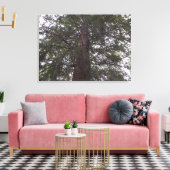 Prachtige boom canvas afdruk (Insitu (Woonkamer))
