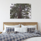 Prachtige boom canvas afdruk (Insitu (Slaapkamer))