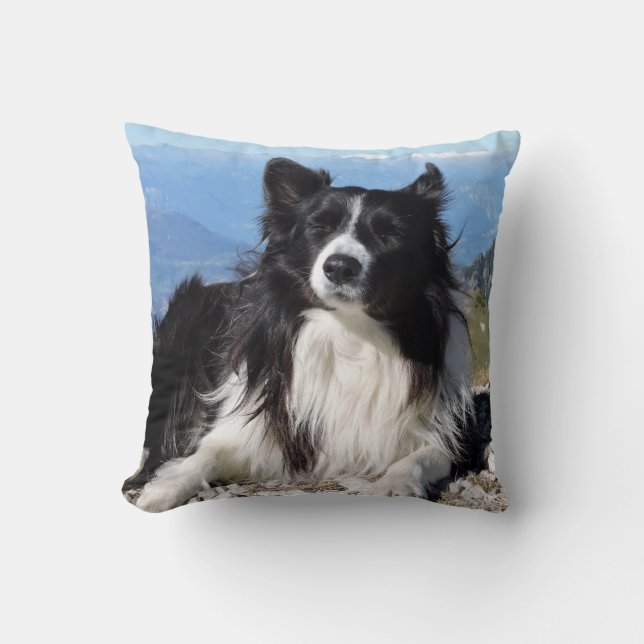 Prachtige Border Collie Hond zwart wit Kussen (Voorkant)