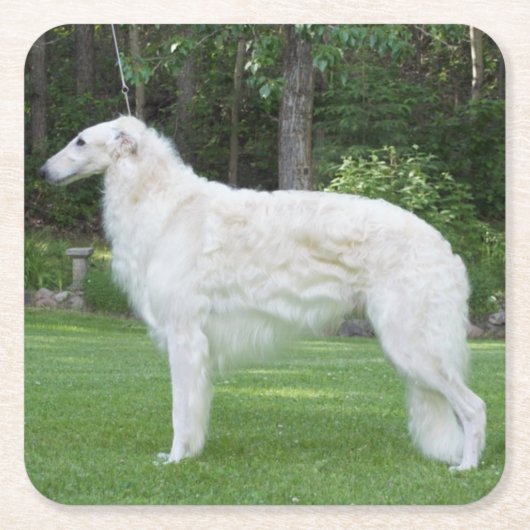 Prachtige Borzoi Kartonnen Onderzetters (Voorkant)