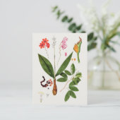 Prachtige Botanische illustratie Briefkaart (Staand voorkant)