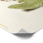 Prachtige  Botanische illustratie Poster (Hoek)