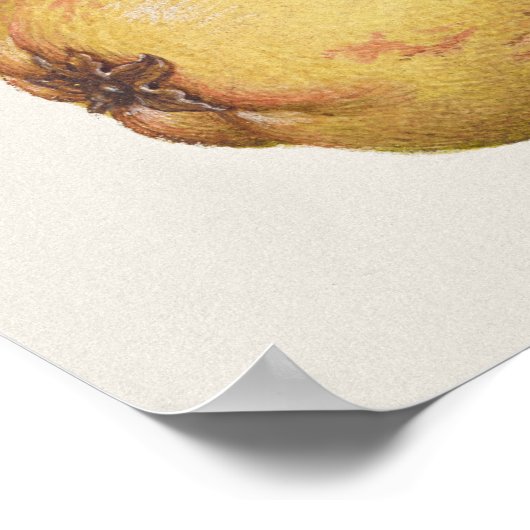 Prachtige  Botanische illustratie Poster (Hoek)