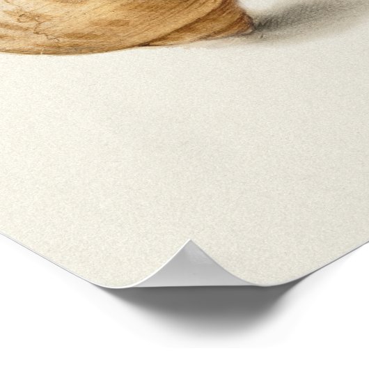 Prachtige Botanische illustratie Poster (Hoek)