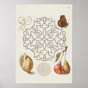 Prachtige  Botanische illustratie Poster