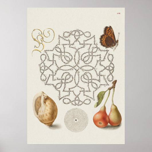Prachtige  Botanische illustratie Poster (Voorkant)