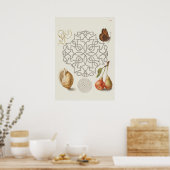 Prachtige  Botanische illustratie Poster (Keuken)