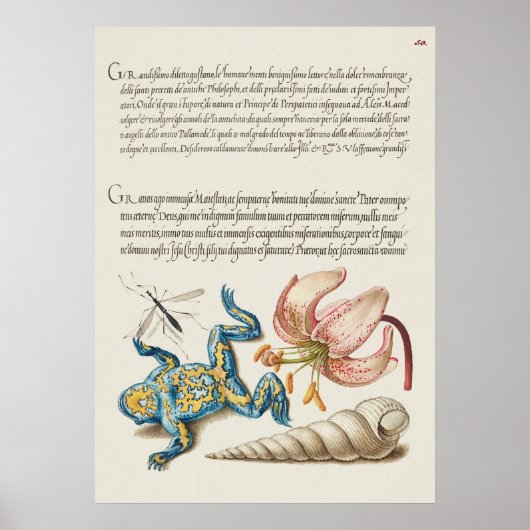 Prachtige  Botanische illustratie Poster (Voorkant)