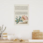 Prachtige  Botanische illustratie Poster (Keuken)
